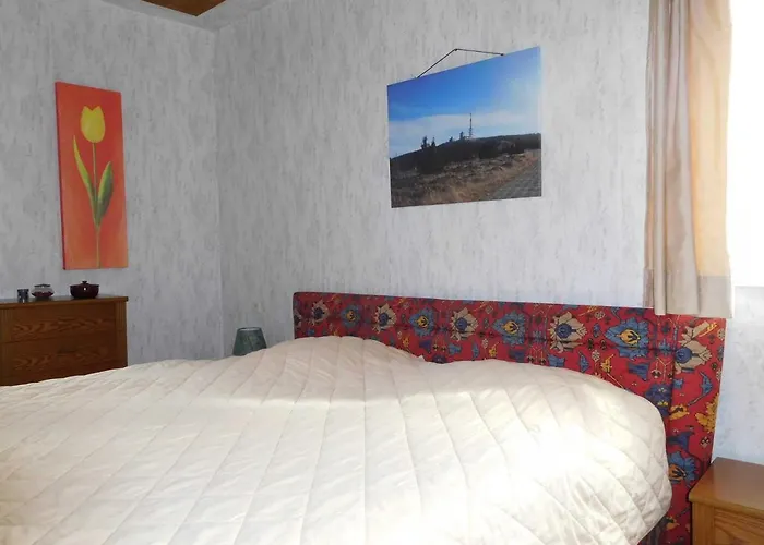 Harzhaus Апартаменты